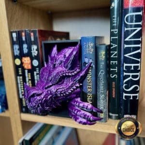 Dragon Book Nook Bookshelf Insert