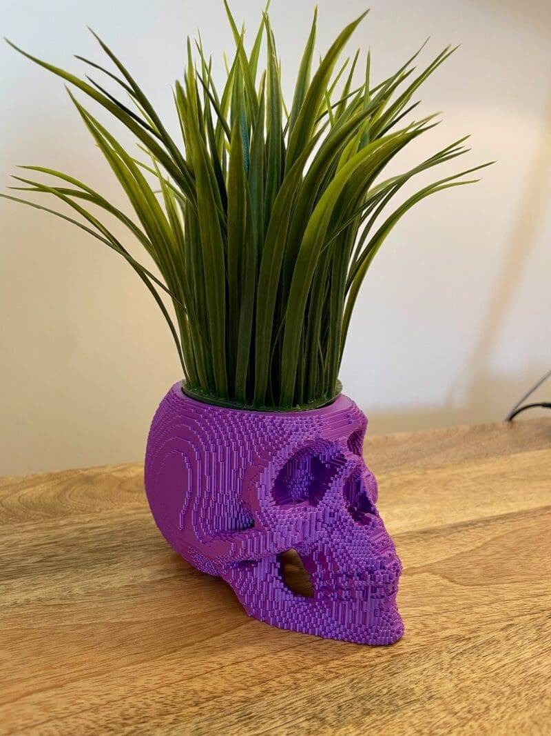 Skull Planter